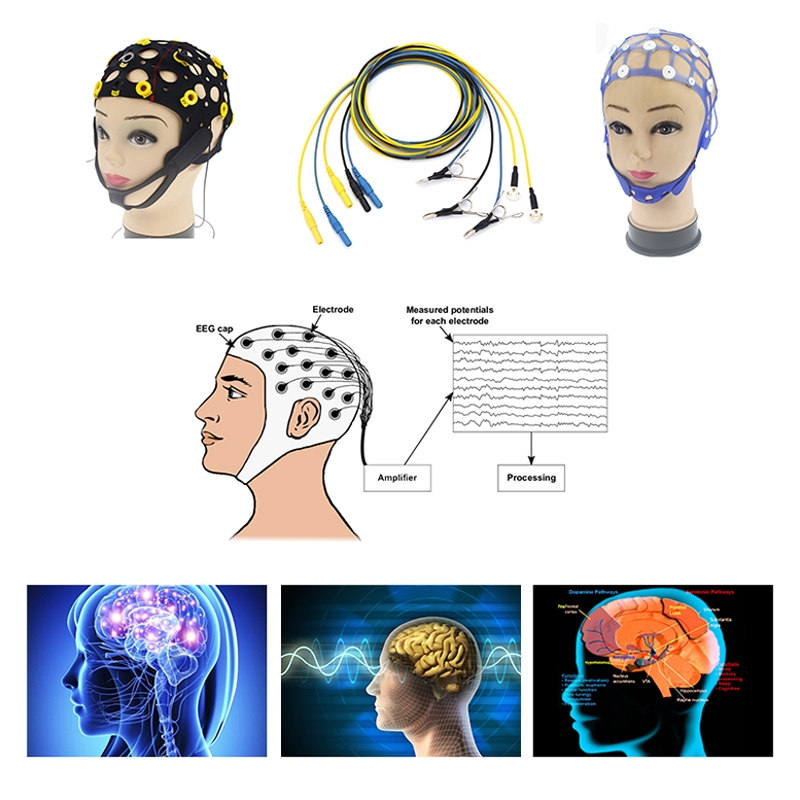 EEG Accessories