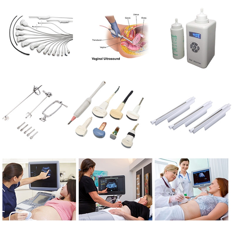 Ultrasound Accessories